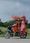 Lokall Image